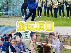 -上海山野camping·户外天幕烧烤·团建拓展营地