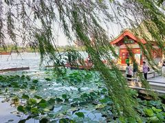 -济南大明湖景区