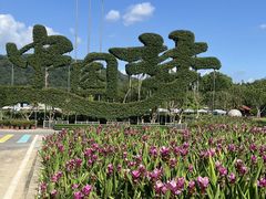 -东南花都花博园