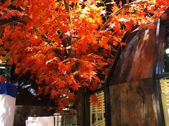 -田趣园长沙菜(天安云谷店)