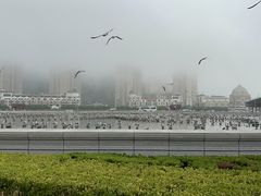 -星海广场