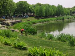 -尚贤河湿地