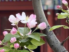 -宣南文化博物馆