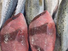 -和源祥·日照菜扛把子(万平口一店)