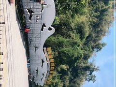 -西双版纳原始森林公园