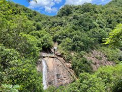 -广州白江湖森林公园