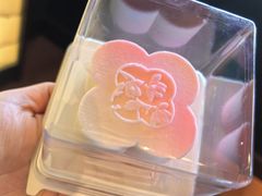 -大渝火锅(百乐广场店)