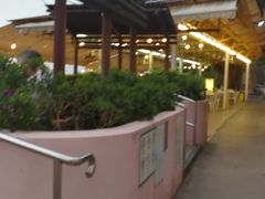 -南丫岛