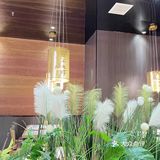 治愈生活的良方就是保持对生活的热爱[呲牙]