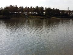 -美兰湖景区