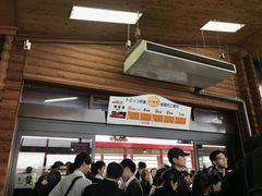 -岚山嵯峨野观光小火车