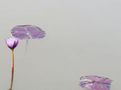 -星巴克(深圳前海企业公馆店)