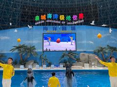 -泉城欧乐堡海洋极地世界