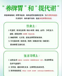 -Fundi张玉珊修身堂·indiba·BTL科技瘦身