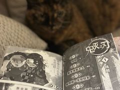 -栖咖啡(泉舜店)