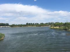 -马家湾湿地公园