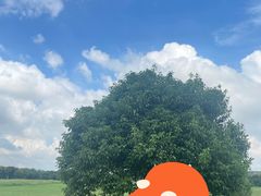 -无锡新湖铂尔曼大酒店