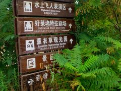 -渔岛海洋度假区