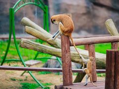 -杭州野生动物世界