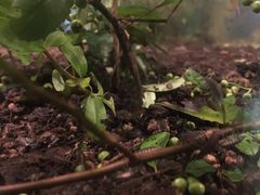 -上海昆虫博物馆