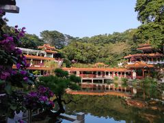-深圳仙湖植物园