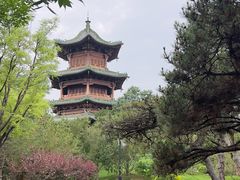 -迎泽公园