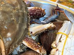 -四海蒸鲜蒸汽海鲜自助(北戴河店)