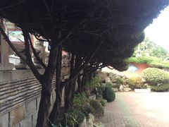 -海东龙宫寺