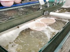 -盒马鲜生(大成店)