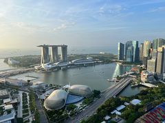 -新加坡瑞士史丹福酒店