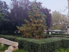 -西安汉城湖景区