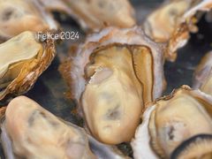 原只蒸生蚝-嘉升大排档(番禺总店)