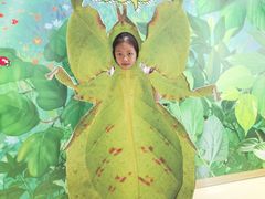 -上海昆虫博物馆