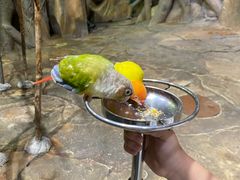 -泉城欧乐堡海洋极地世界
