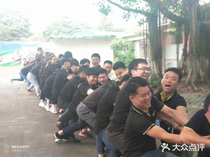 松山湖南湖湾露营营地图片