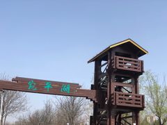 -绿堤公园