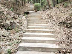 -滴水岩森林公园