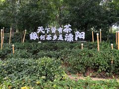 -天目湖山水园