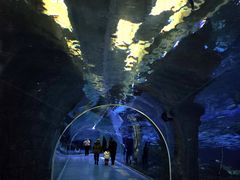 -哈尔滨波塞冬海底世界