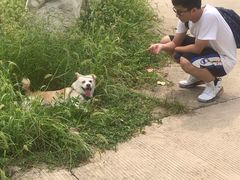 -焦岗湖影视城