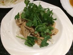 iphone_upload_pic-新兴·金羊座·粤菜点心(乐峰店)