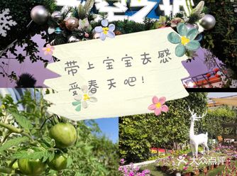 带上娃来这里享受春天！！