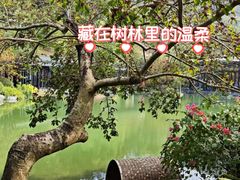-云溪植物园