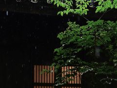 -中国茶叶博物馆(双峰馆区)