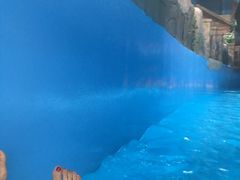 -青岛东方影都融创水世界