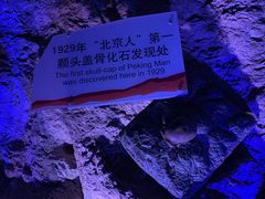 -周口店北京人遗址公园