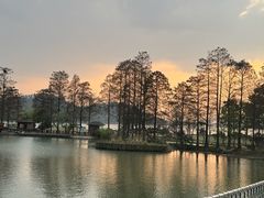 -东湖落雁景区