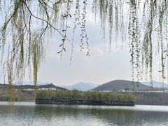 -樱花山风景区
