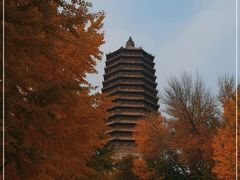 -玲珑塔公园