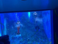 -广州海洋馆
